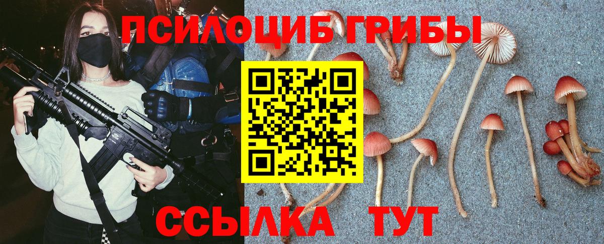 Галлюциногенные грибы Psilocybe  Галлюциногенные грибы Magic Shrooms  Вход с VPN  Великий Новгород 