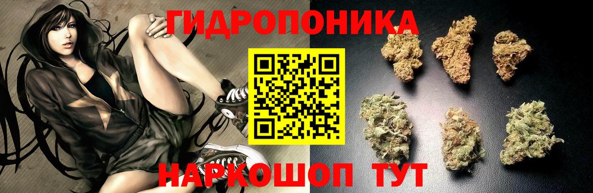 Конопля Amnesia Великий Новгород